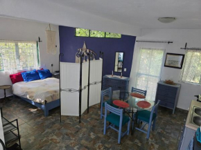 La Maisonnette, casita linda en el bosque